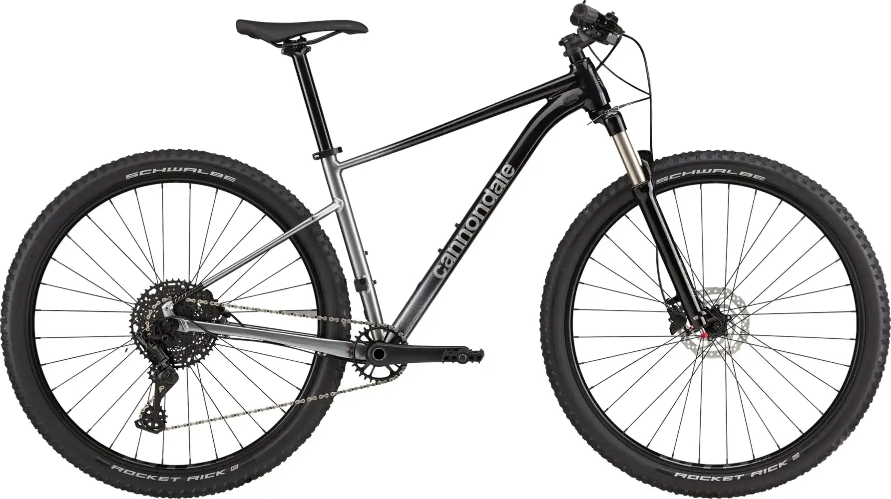 2024 Cannondale Trail SL 4 - ABC Bikes