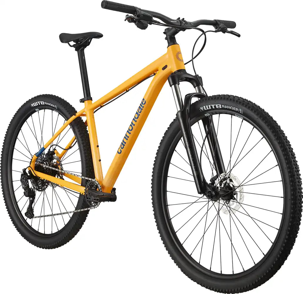 2024 Cannondale Trail 5 - ABC Bikes