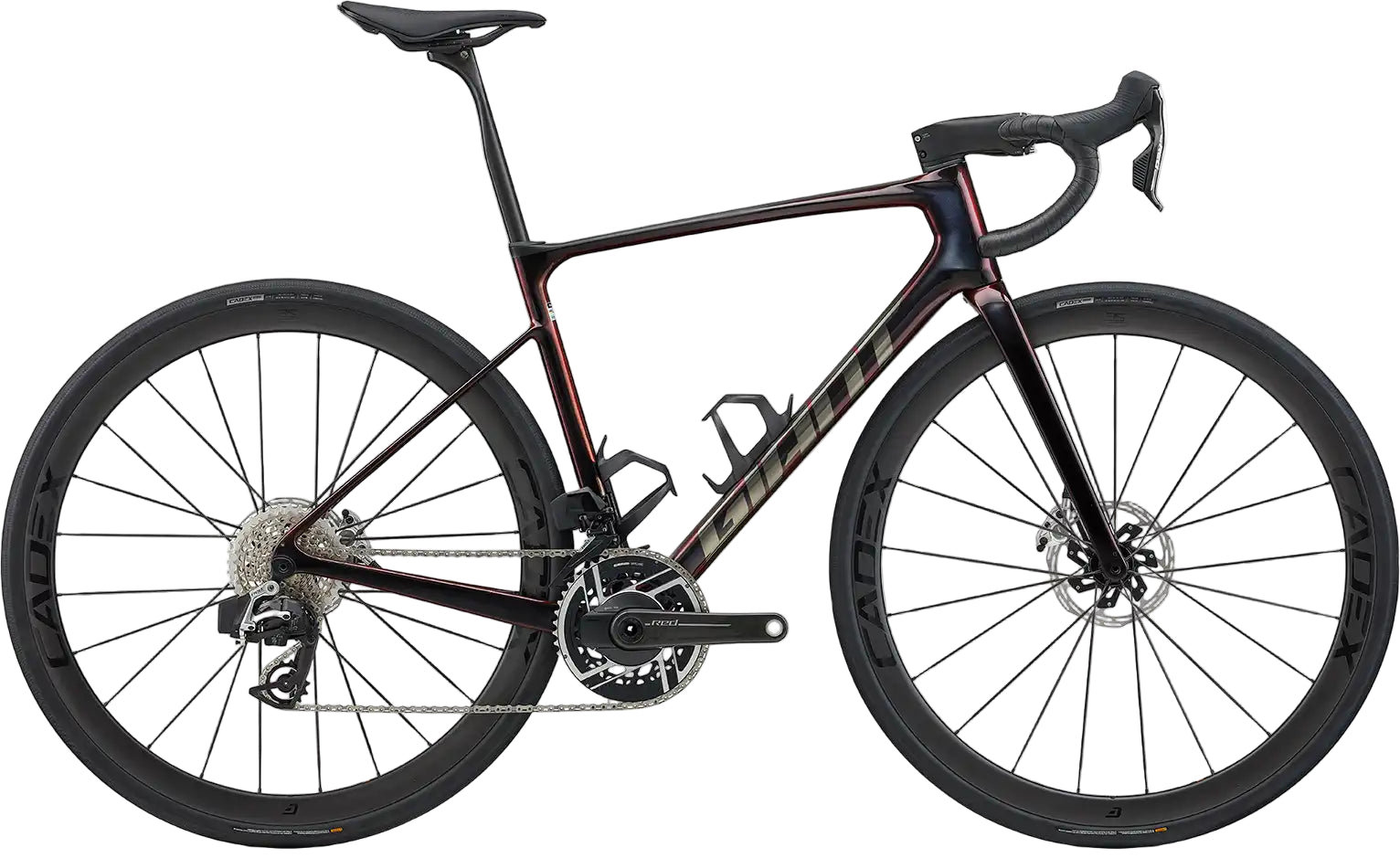 2025 Giant Defy Advanced SL 0 - ABC Bikes