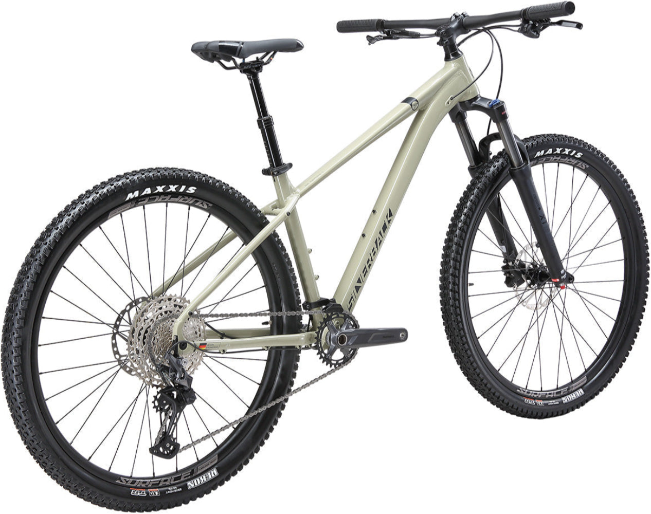 Silverback 2025 SE Series 12 hardtail mountain bike with silver frame and front suspension, designed for off-road riding.