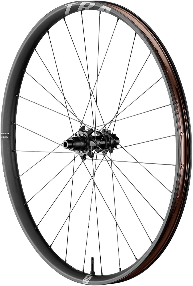 Giant TRA Alloy Disc MTB Wheel - ABC Bikes