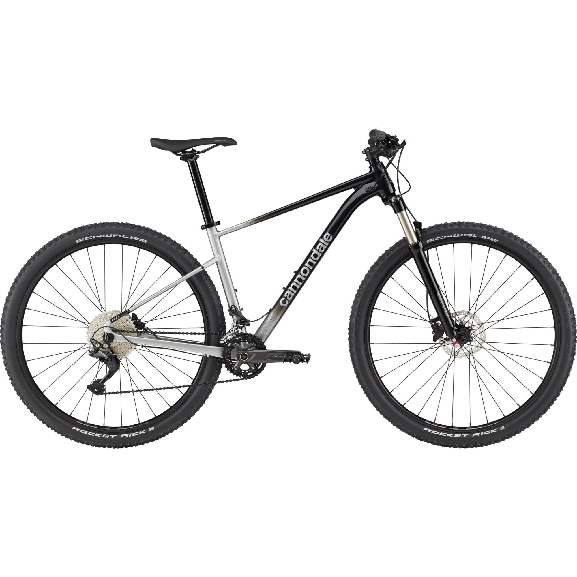 2021 Cannondale Trail SL 4 LG / 29 Grey | ABC Bikes