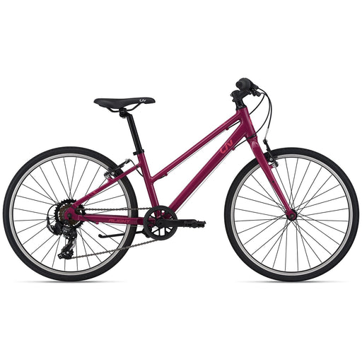 2022 Liv Alight 24 Purple | ABC Bikes