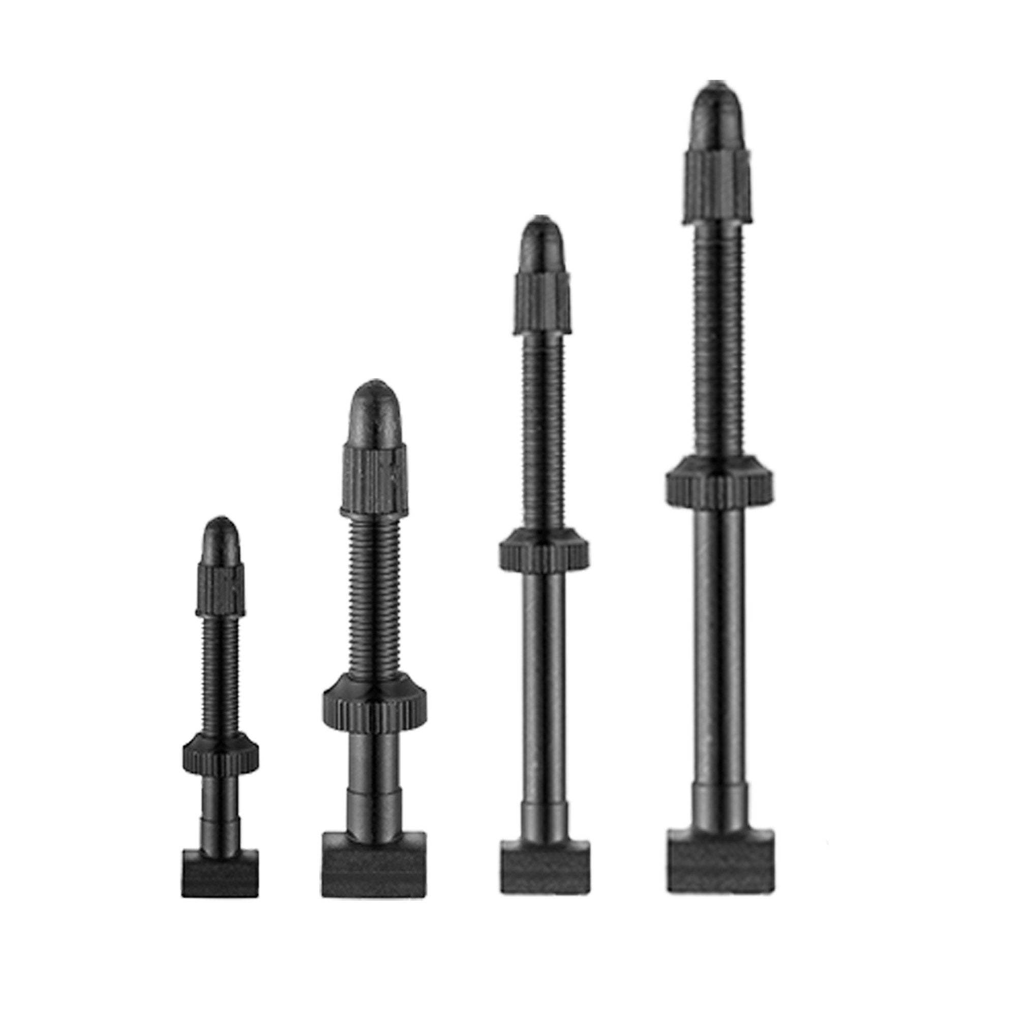 Giant Tubeless Valves 45mm Black | ABC Bikes