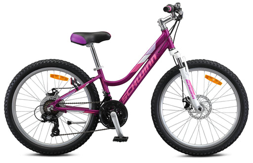 2023 Schwinn Breaker 24 Girls - ABC Bikes
