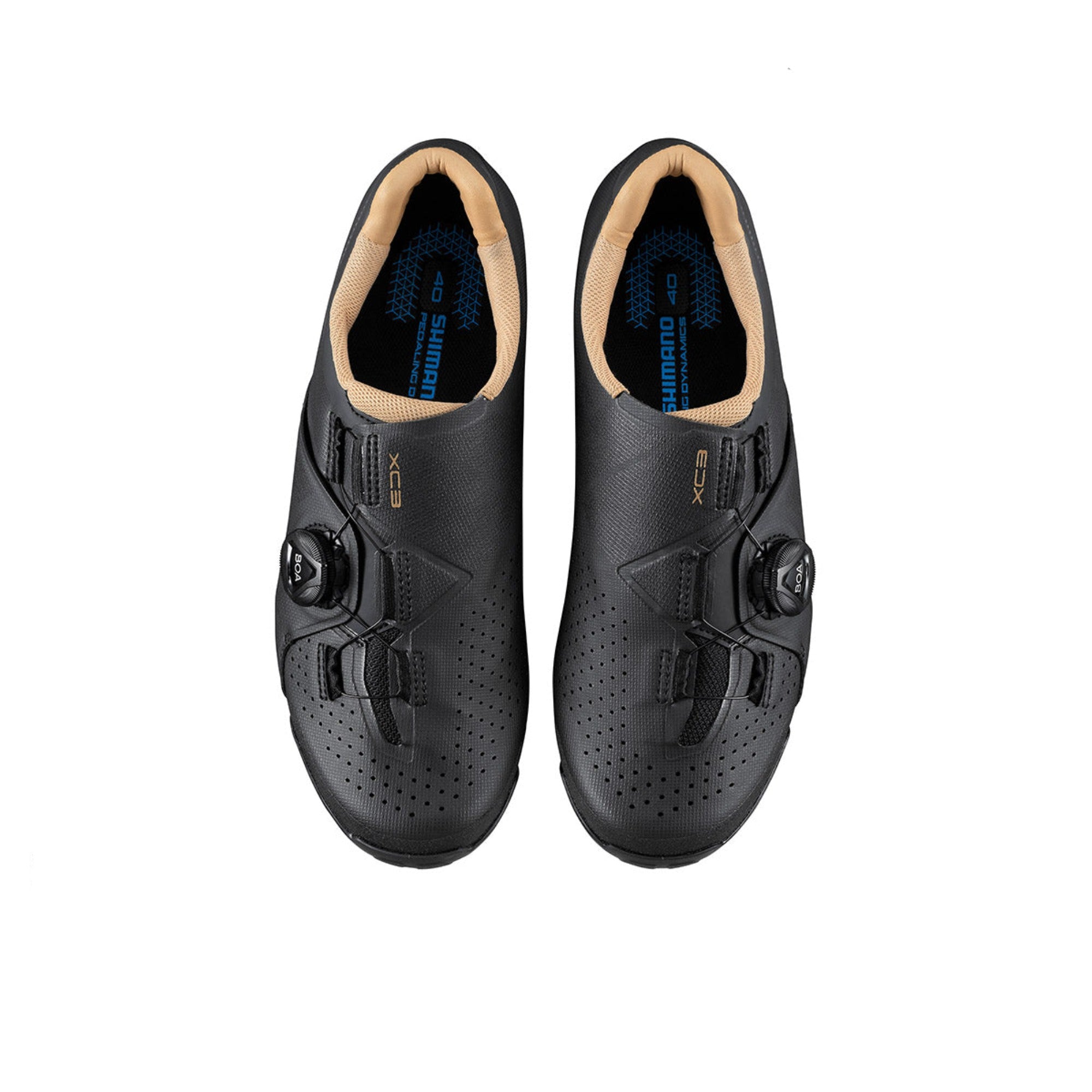 Shimano XC300 BOA Womens MTB Shoes 37 Black | ABC Bikes