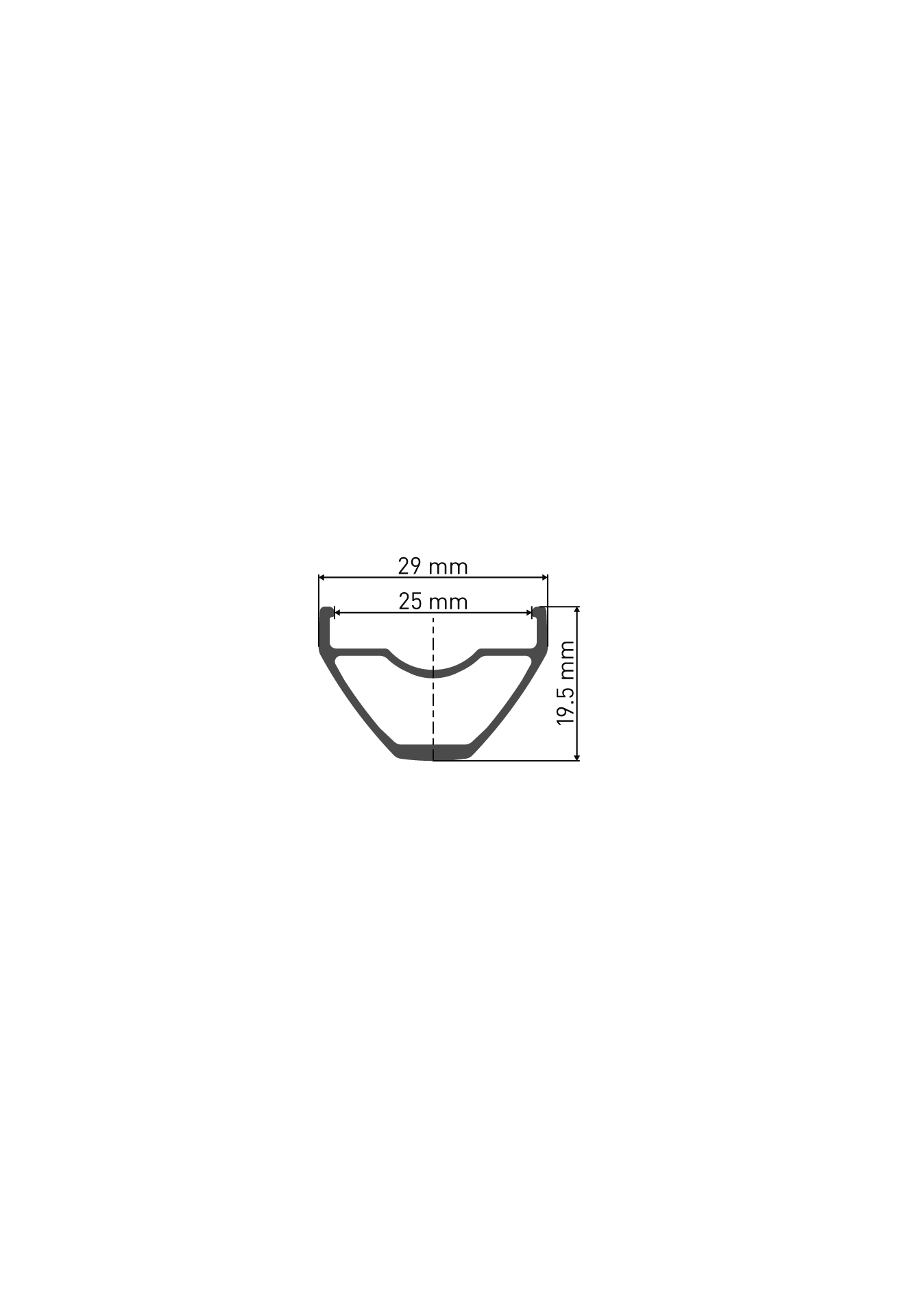 DT Swiss X 1900 Spline 25 Tubeless Disc Wheel 29 / 100x15 Centerlock | ABC Bikes