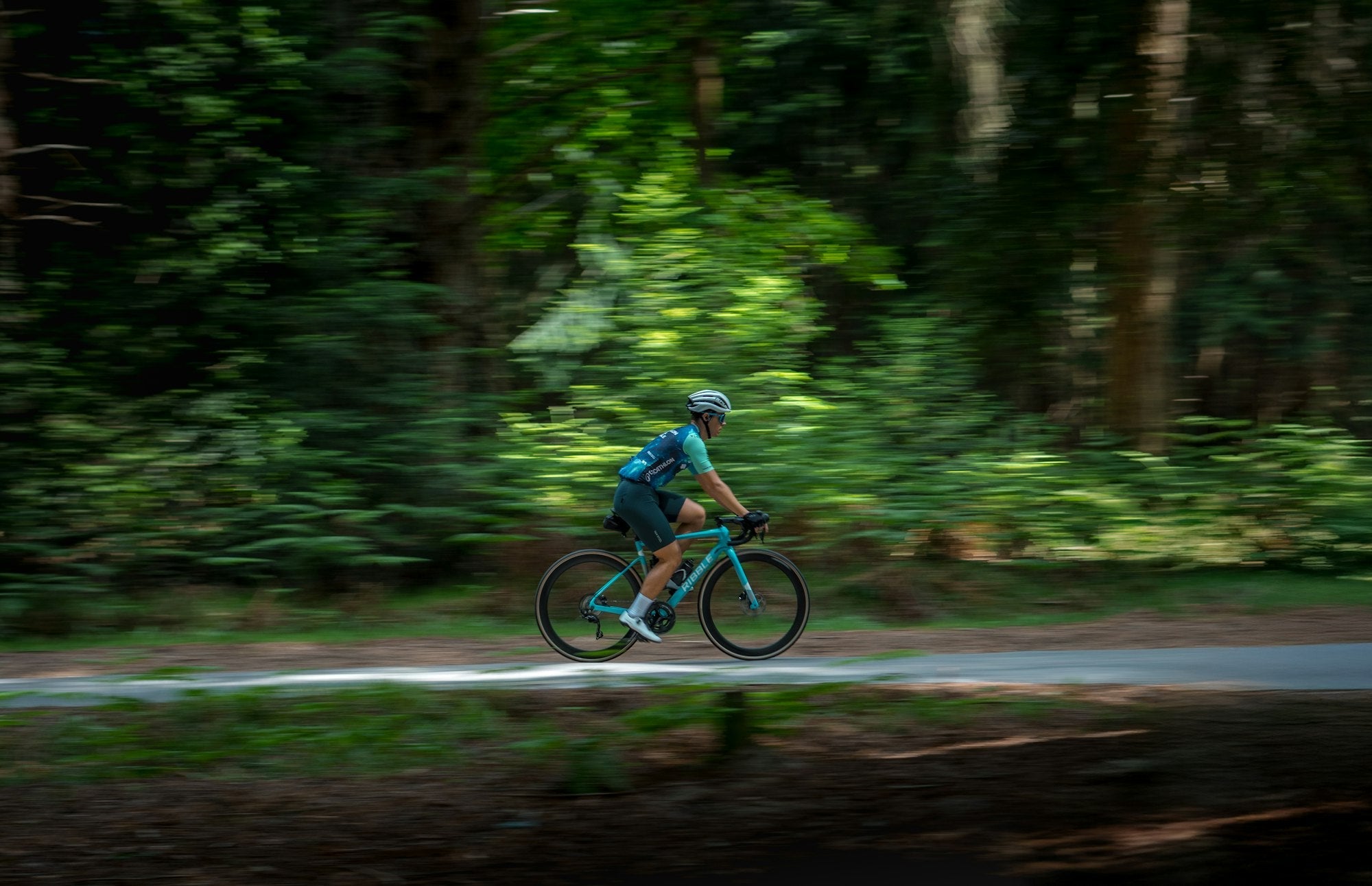 Cyclist riding a bike along a forest road, representing the freedom of a Studio19 bike rental from ABC Bikes