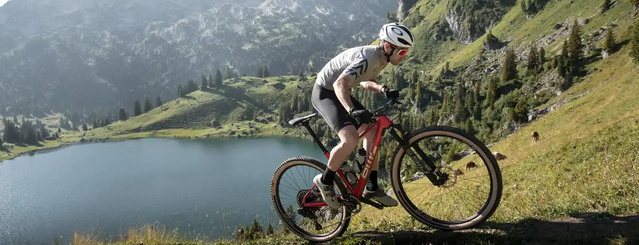BMC Twostroke
