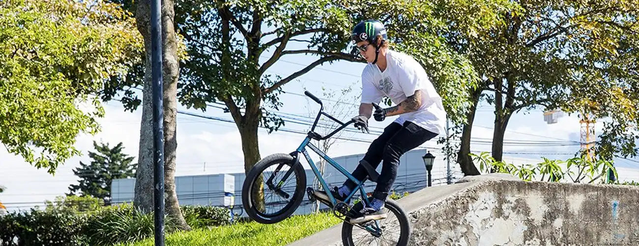 Mongoose Switch