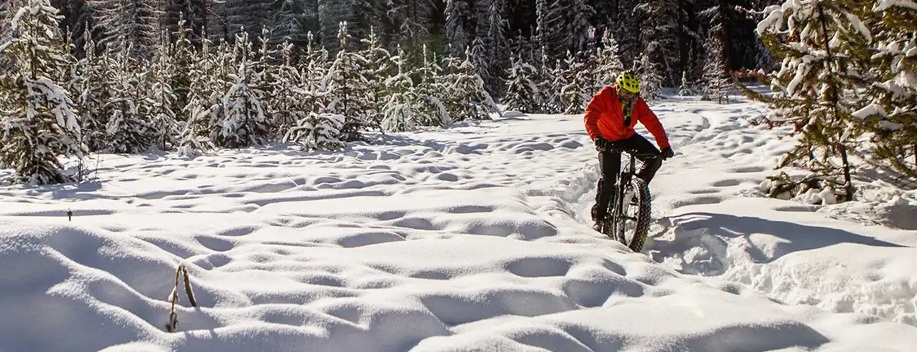 Norco Bigfoot