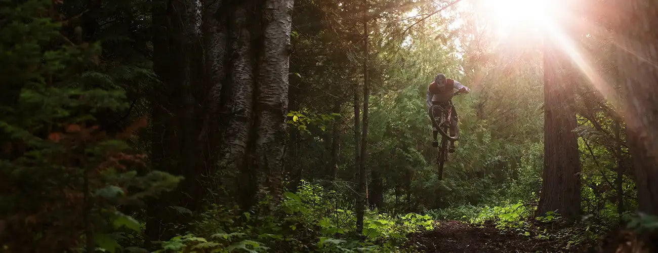 Norco Sight