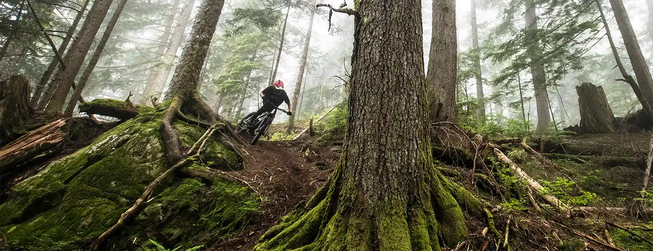 Norco Torrent