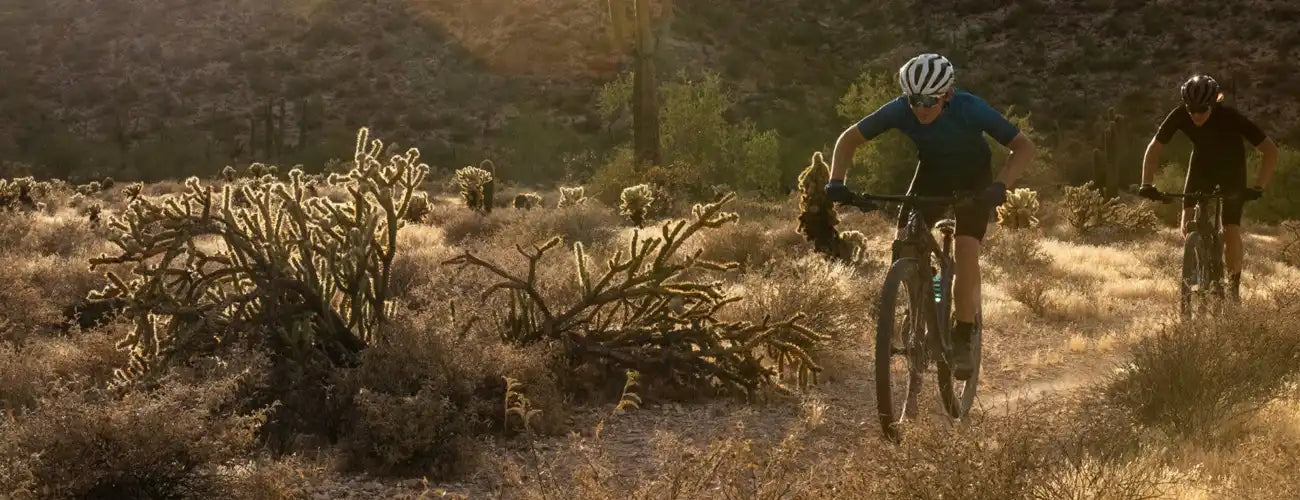 Unlock Your Backyard