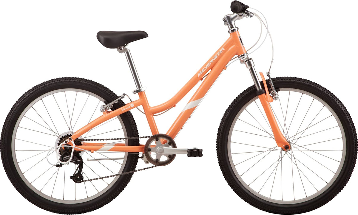 2025 Malvern Star Livewire 24