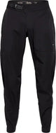 Fox Ranger Water LUNAR SE Mens MTB Pants - ABC Bikes