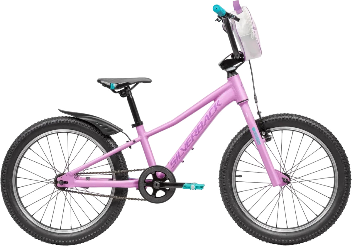 Silverback Girls 2027 Silverback Skid 20-inch kids' bike with a sleek silver frame and sturdy tires for young riders.