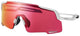 Shimano Equinox Glasses [product_colour] | ABC Bikes