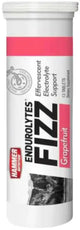 Hammer Endurolytes Fizz Hydration Tablets