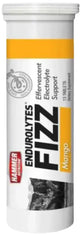 Hammer Endurolytes Fizz Hydration Tablets