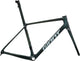 2025 Giant TCR Advanced SL Frameset - ABC Bikes