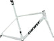 2026 Giant TCR Advanced SL Frameset [product_colour] | ABC Bikes
