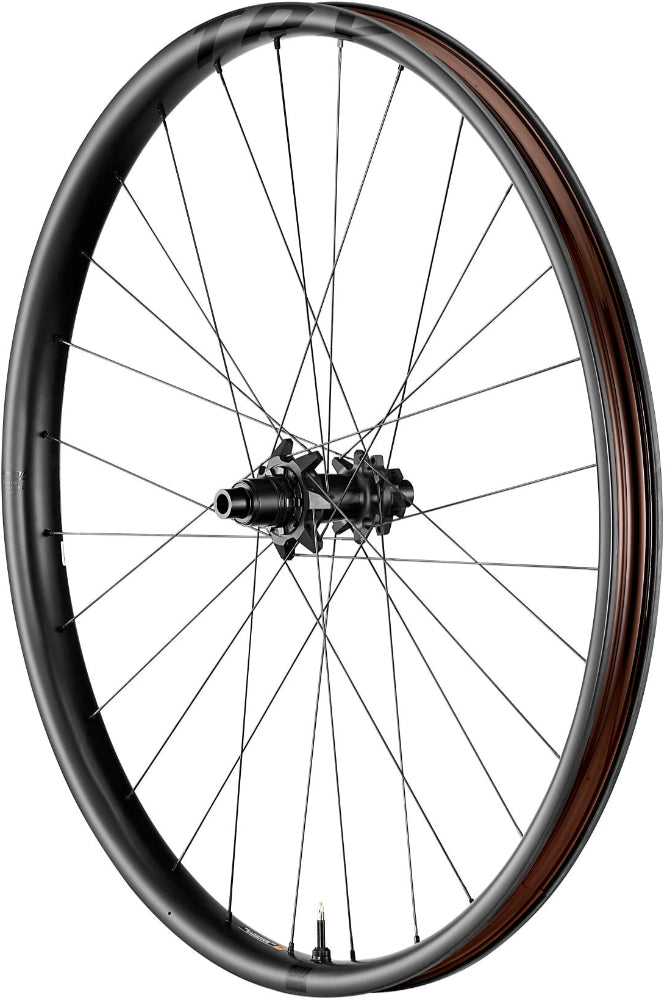Giant TRX Carbon Disc MTB Wheel - ABC Bikes