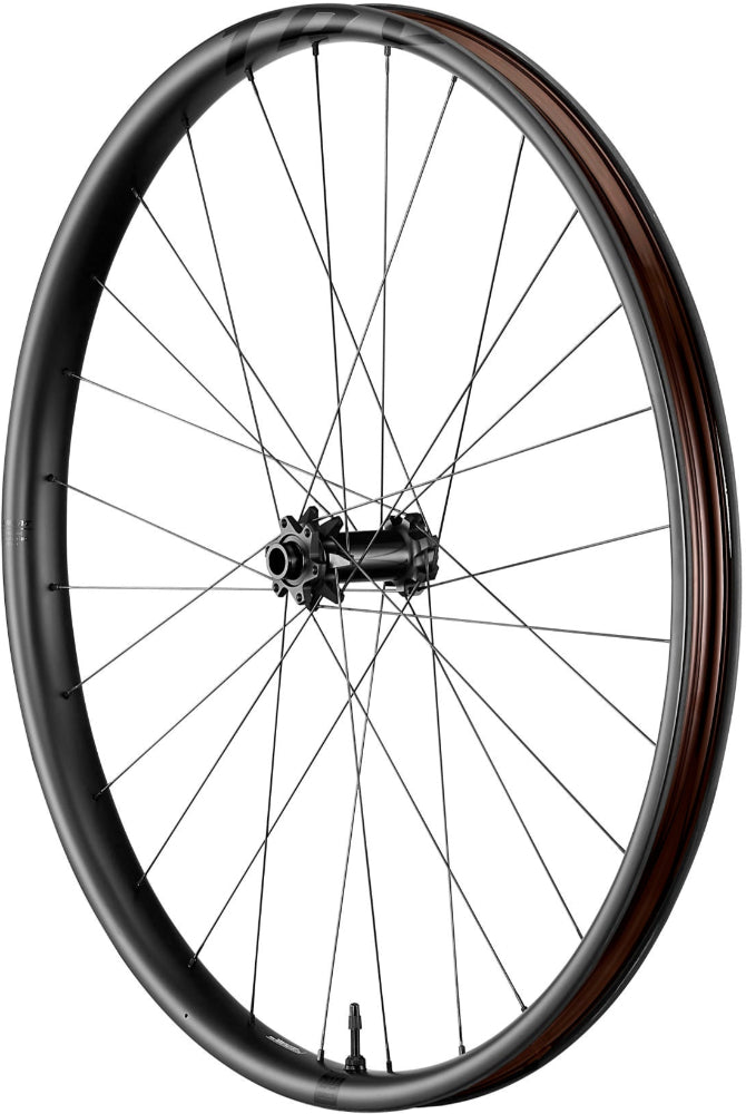 Giant TRX Carbon Disc MTB Wheel - ABC Bikes