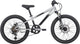2026 Neo Disc+ 20