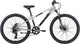2026 Neo Disc+ 24