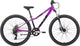 2026 Neo Disc+ 26