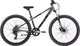 2026 Neo Disc+ 26