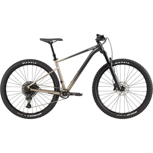 2021 Cannondale Trail SE 1 LG / 29 Meteor Grey | ABC Bikes
