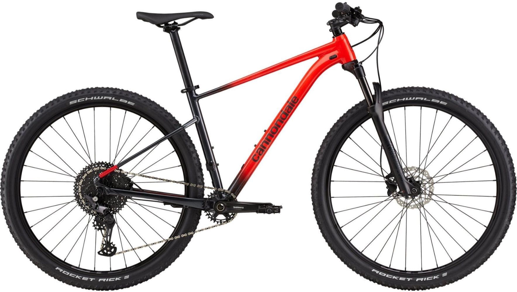 2021 Cannondale Trail SL 3 LG / 29 Rally Red | ABC Bikes