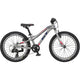 2022 GT Stomper Prime 20 Gloss Mid Silver | ABC Bikes