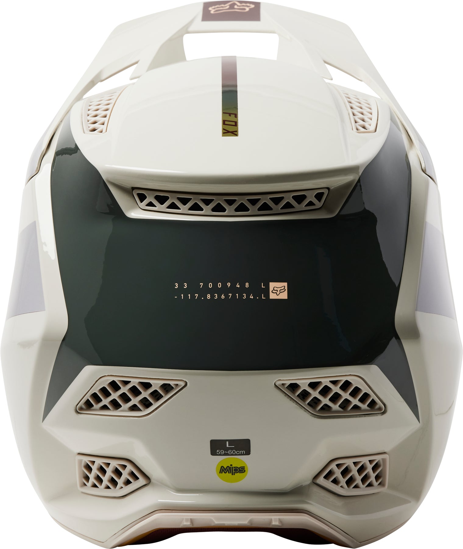 Fox Rampage Pro Carbon MIPS GLNT Full Face Helmet - ABC Bikes