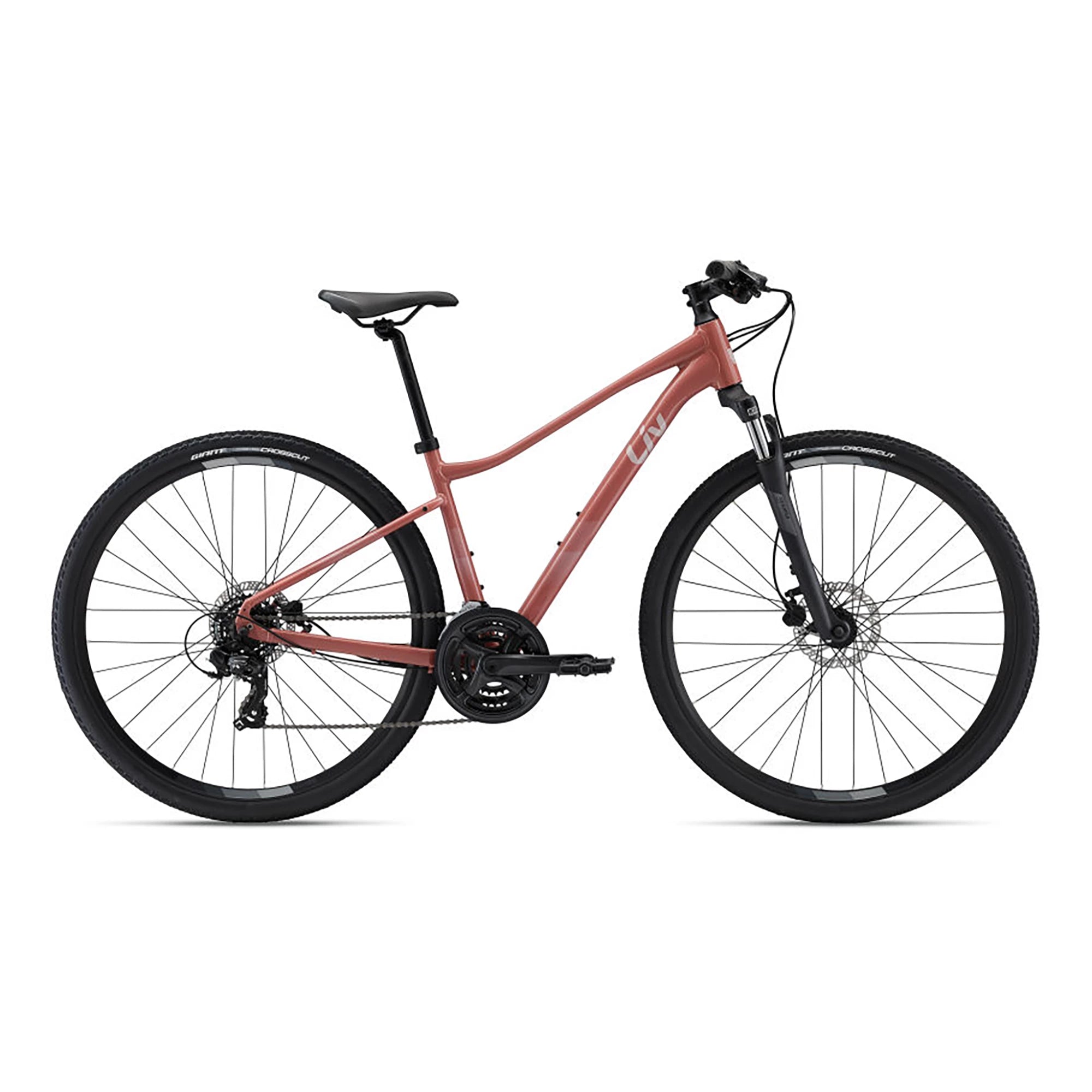 2022 Liv Rove 4 XS Terra Roza | ABC Bikes