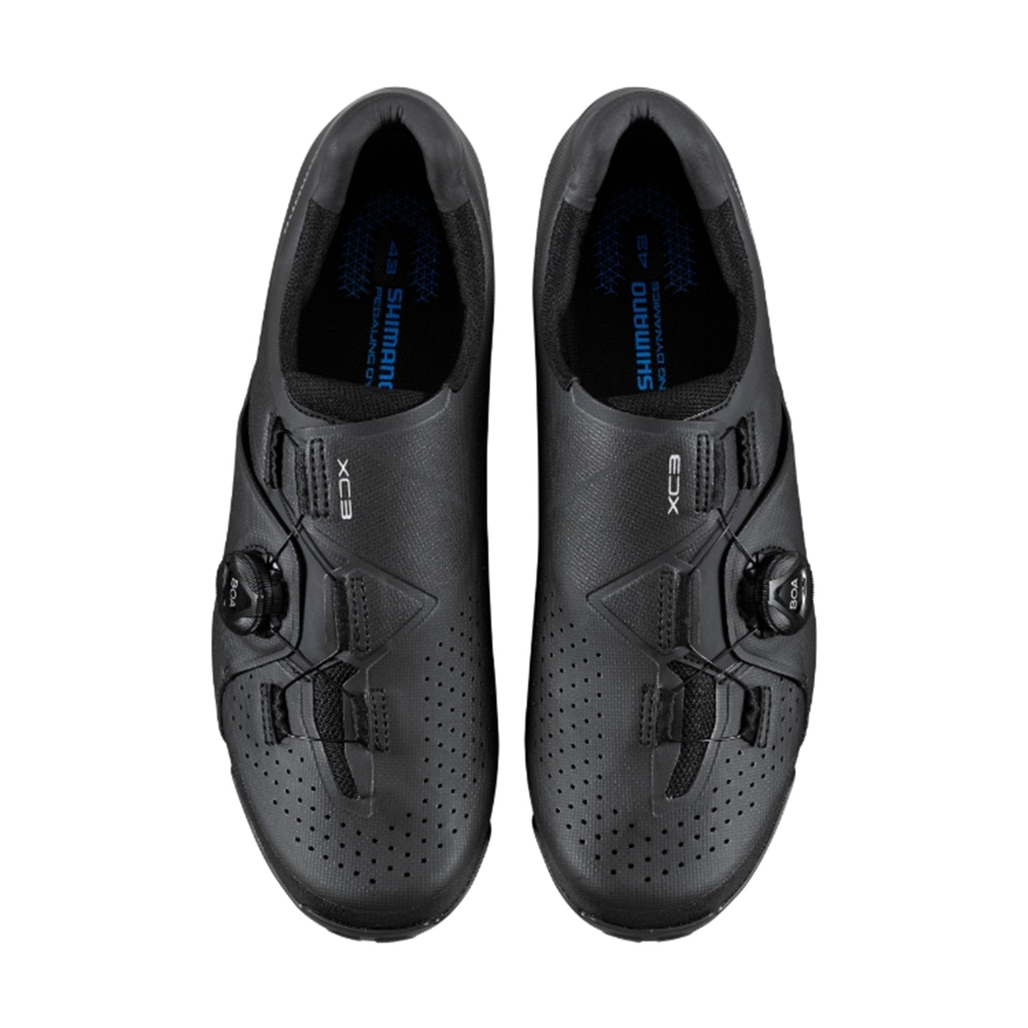 Shimano XC300 BOA Mens MTB Shoes 36 Black | ABC Bikes